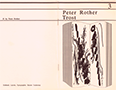 Abbildung zu: Peter Rother, Trost, Umschlag.